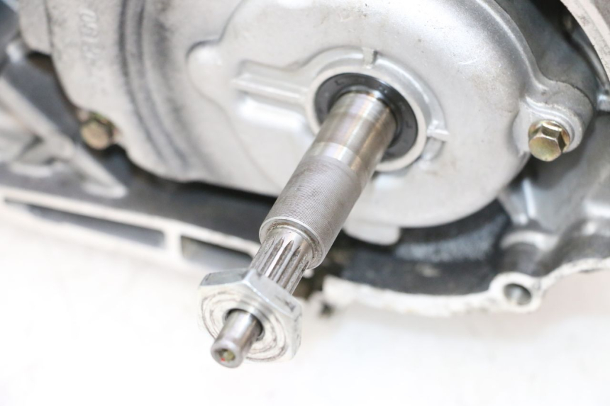 photo de MOTOR TNT MOTOR ROMA 10' 2T 50 (2011 - 2018) - Alternativer Blickwinkel