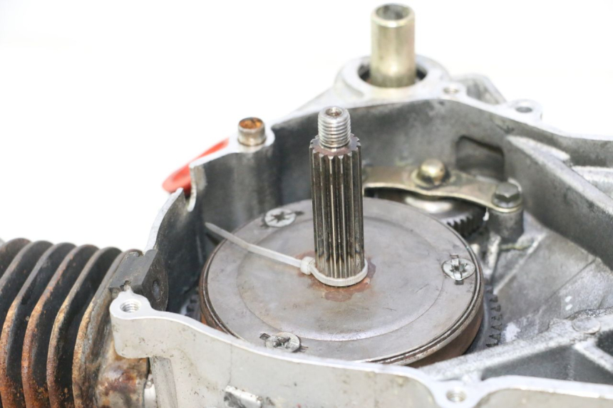photo de MOTOR TNT MOTOR ROMA 10' 2T 50 (2011 - 2018) - Alternative Perspektive