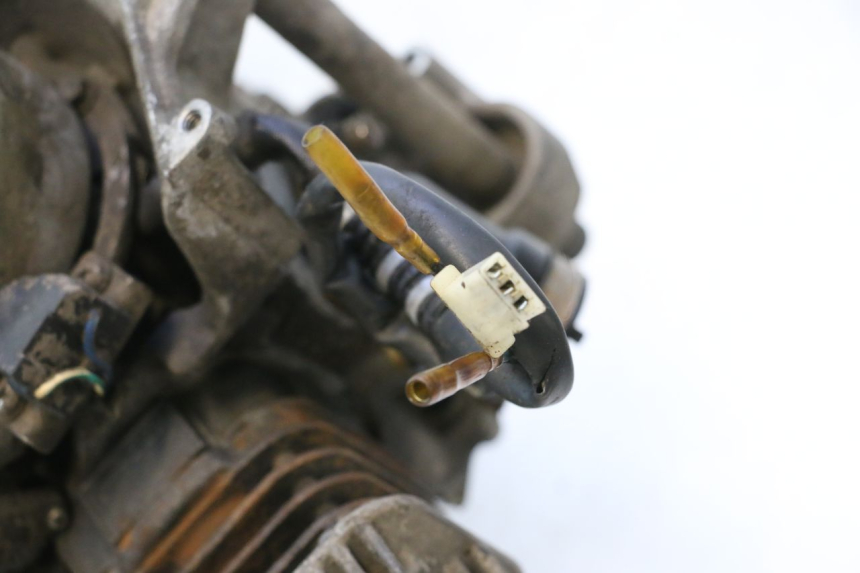 photo de MOTOR TNT MOTOR ROMA 10' 2T 50 (2011 - 2018) - Technische Nahaufnahme
