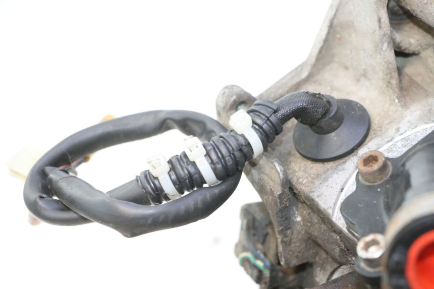 photo de MOTOR TNT MOTOR ROMA 10' 2T 50 (2011 - 2018) - Geprüftes Gebrauchtteil