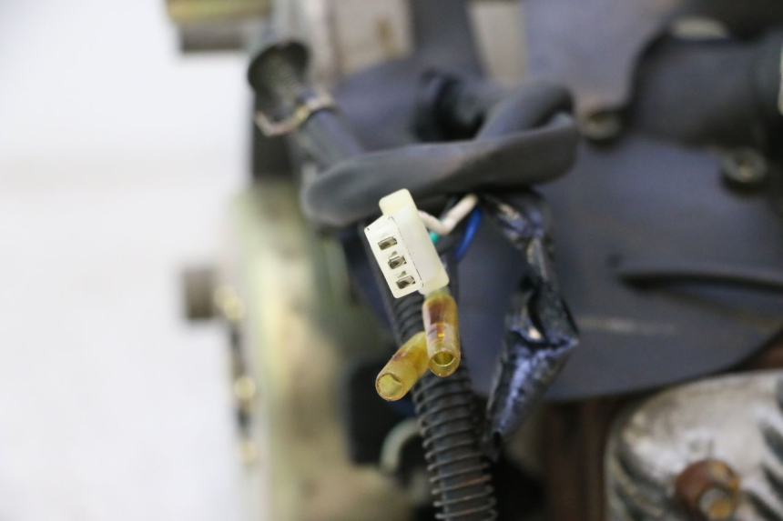 photo de MOTOR TNT MOTOR ROMA 12' 2T 50 (2007 - 2018) - Detaillierte Sichtprüfung