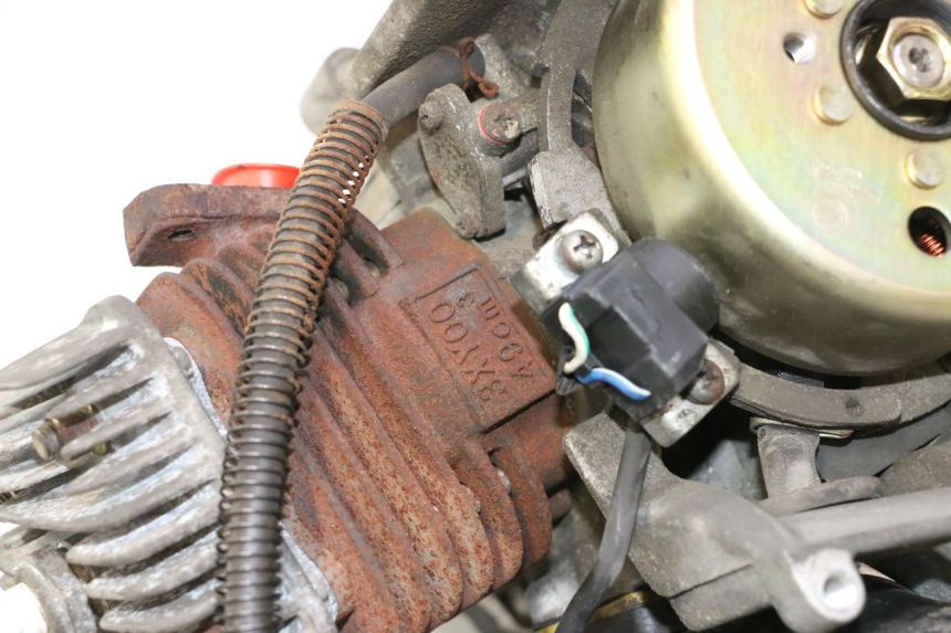 photo de MOTOR TNT MOTOR ROMA 12' 2T 50 (2007 - 2018) - Gesamtansicht des Produkts
