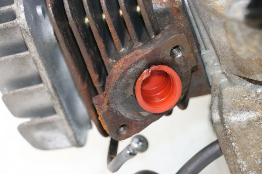 photo de MOTOR TNT MOTOR ROMA 12' 2T 50 (2007 - 2018) - Detailansicht des Bauteils