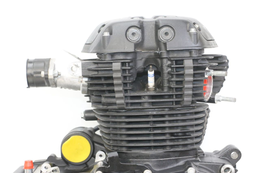 photo de MOTOR ROYAL ENFIELD HYMALAYAN 410 (2016 - 2023) - Ergänzendes Produktfoto