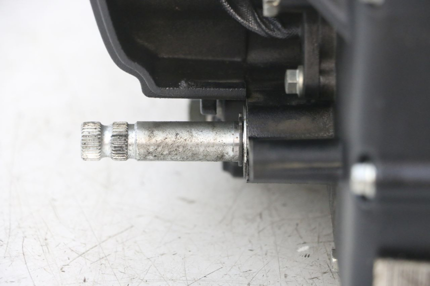 photo de MOTOR ROYAL ENFIELD HYMALAYAN 410 (2016 - 2023) - Alternative Perspektive