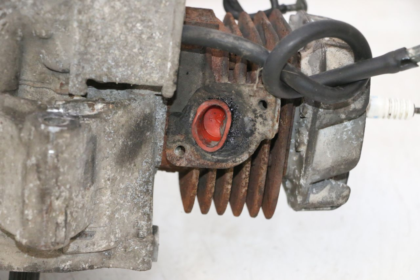 photo de MOTOR KEEWAY RY6 2T 50 (2011 - 2019) - Geprüftes Gebrauchtteil