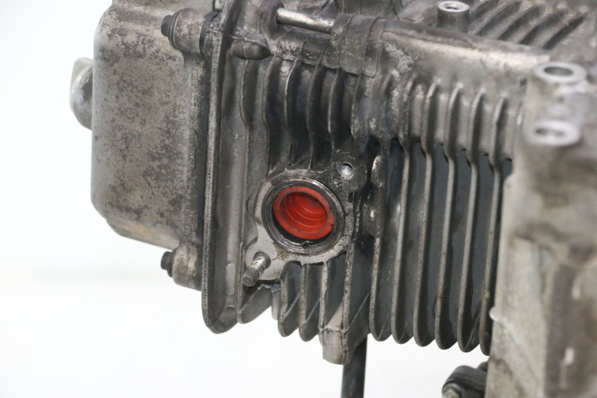 photo de MOTOR DAELIM S2 125 (2006 - 2007) - Oberflächenzustand und Material