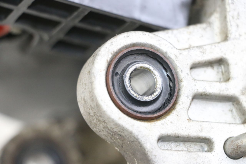 photo de MOTOR JM MOTORS SANTANA 50 (2014 - 2023) - Alternative Perspektive