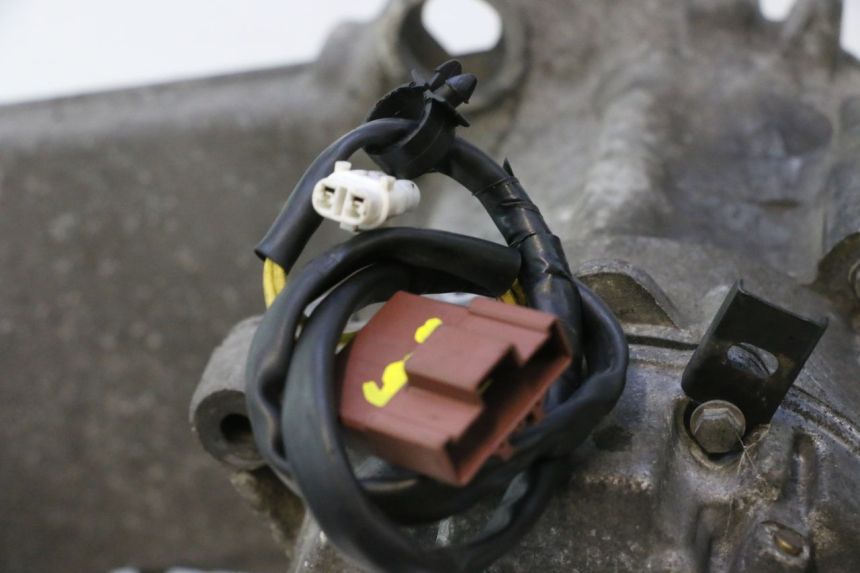 photo de MOTOR PEUGEOT SATELIS 125 (2006 - 2009) - Detaillierte Sichtprüfung