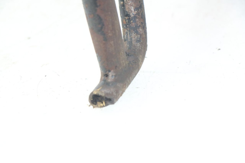 photo de MOTOR JM MOTORS SC 4T 50 (2012 - 2017) - Alternative Perspektive