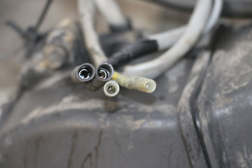 photo de MOTOR HONDA SCV LEAD 100 (2003 - 2007) - Hauptansicht