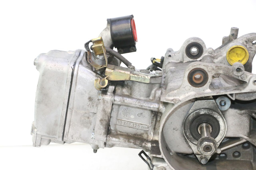 photo de MOTOR HONDA SH 125 (2001 - 2003) - Hochauflösende Nahaufnahme