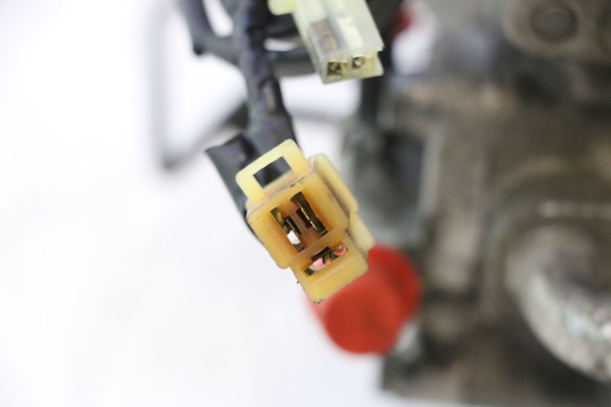 photo de MOTOR HONDA SH 125 (2001 - 2003) - Geprüftes Gebrauchtteil