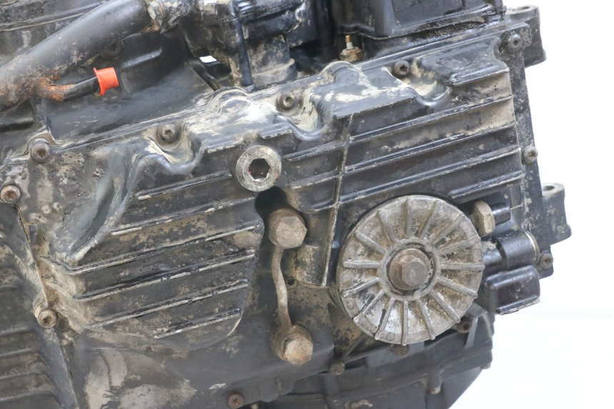 photo de MOTOR TRIUMPH SPEED TRIPLE T301 900 (1994 - 1996) - Gesamtansicht des Produkts