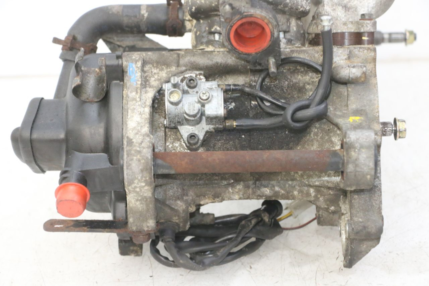 photo de MOTOR PEUGEOT SPEEDFIGHT 2 LC 50 (2000 - 2009) - Hochauflösende Nahaufnahme