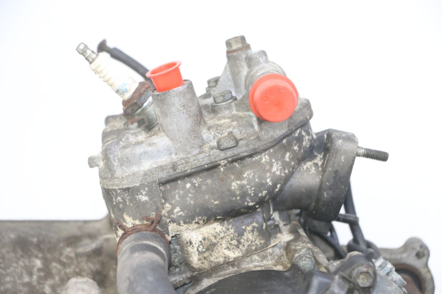 photo de MOTOR PEUGEOT SPEEDFIGHT 2 LC 50 (2000 - 2009) - Fokus auf die Struktur