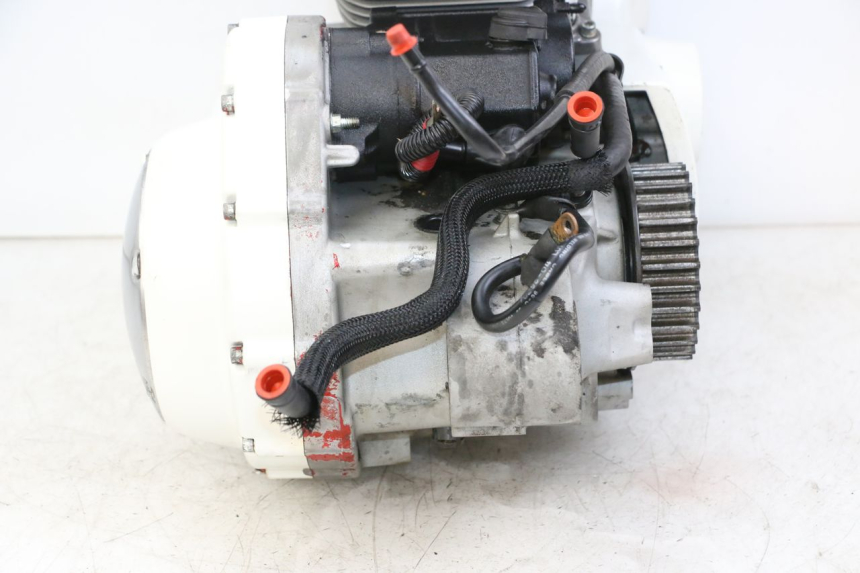 photo de MOTOR HARLEY DAVIDSON SPORTSTER XL CUSTOM 883 (1999 - 2006) - Ergänzendes Produktfoto