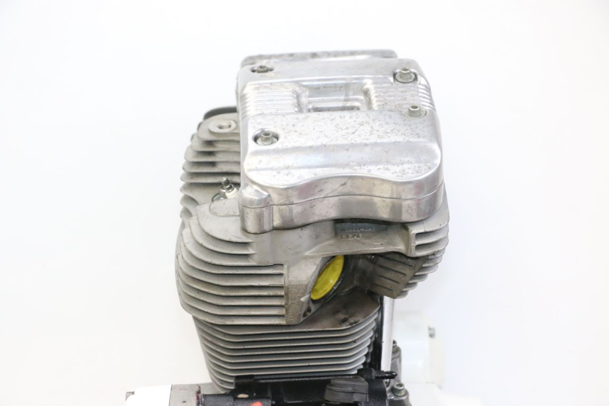 photo de MOTOR HARLEY DAVIDSON SPORTSTER XL CUSTOM 883 (1999 - 2006) - Fokus auf die Struktur