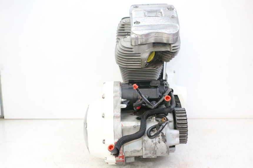 photo de MOTOR HARLEY DAVIDSON SPORTSTER XL CUSTOM 883 (1999 - 2006) - Qualität der Gebrauchtware