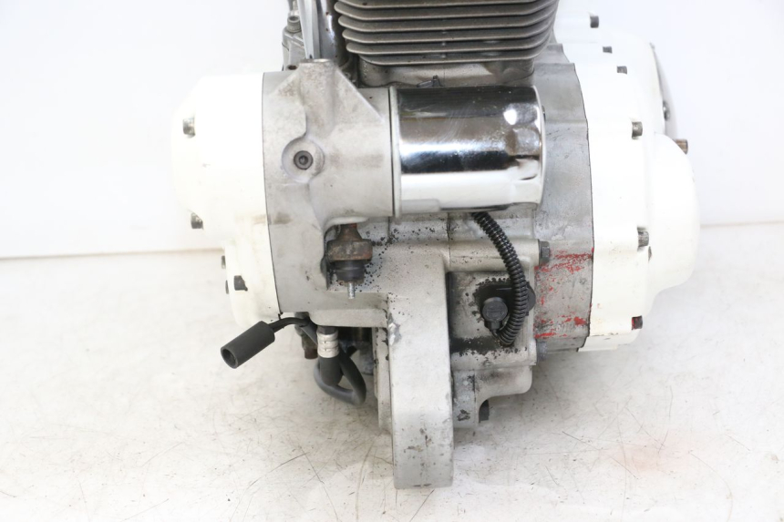 photo de MOTOR HARLEY DAVIDSON SPORTSTER XL CUSTOM 883 (1999 - 2006) - Zoom auf Gebrauchszustand