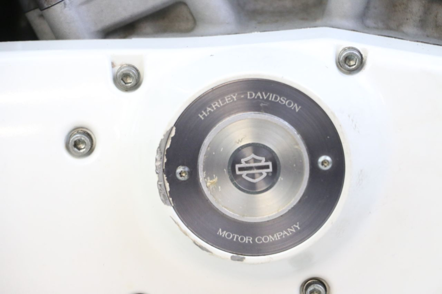 photo de MOTOR HARLEY DAVIDSON SPORTSTER XL CUSTOM 883 (1999 - 2006) - Details der Befestigungspunkte