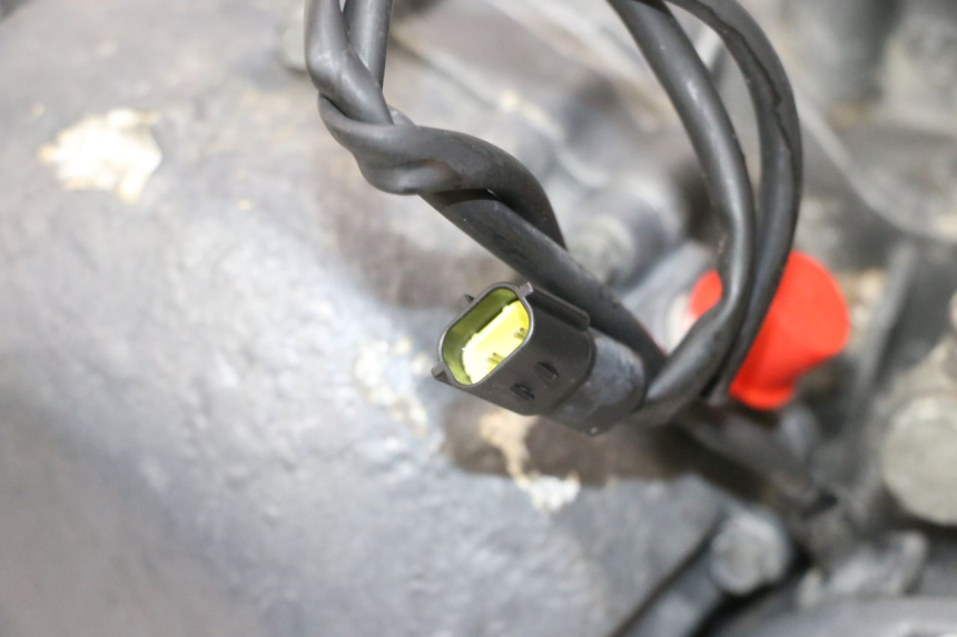 photo de MOTOR TRIUMPH SPRINT 900 (1995 - 1998) - Detailansicht des Bauteils