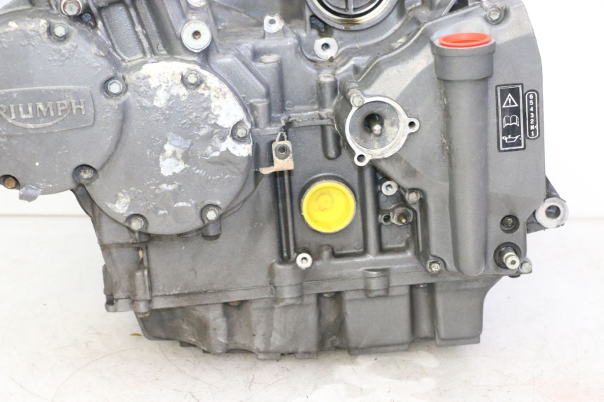 photo de MOTOR TRIUMPH SPRINT 900 (1995 - 1998) - Technische Nahaufnahme