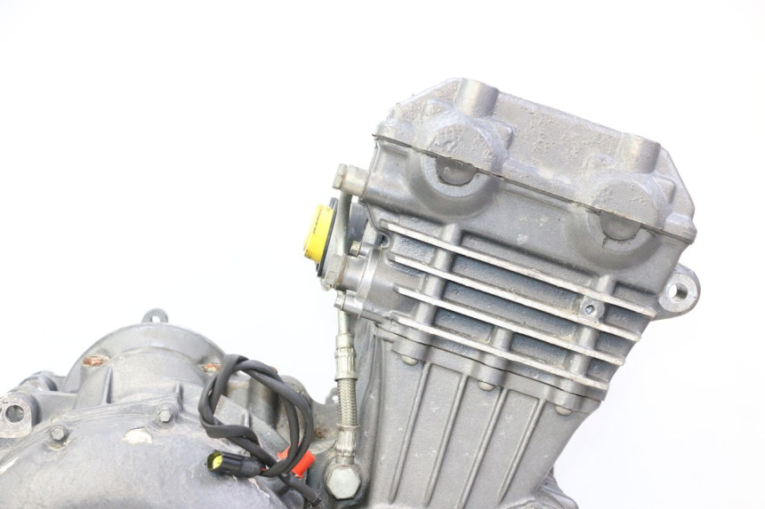 photo de MOTOR TRIUMPH SPRINT 900 (1995 - 1998) - Kennzeichnungen und Originalreferenzen