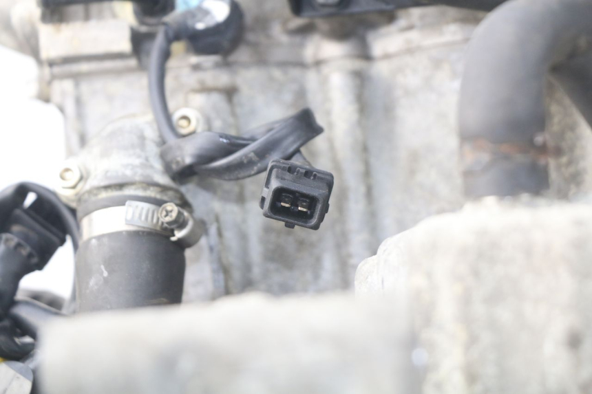 photo de MOTOR TRIUMPH SPRINT ST ABS 1050 (2005 - 2007) - Charakteristische Merkmale