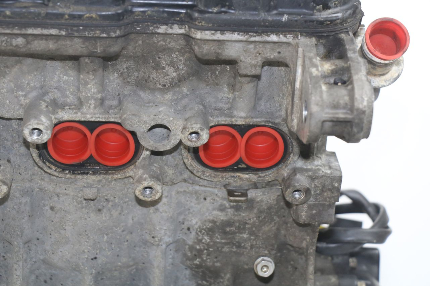 photo de MOTOR TRIUMPH SPRINT ST ABS 1050 (2005 - 2007) - Profilansicht des Ersatzteils