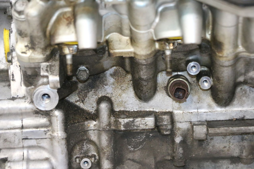 photo de MOTOR HONDA ST PAN EUROPEAN 1300 (2002 - 2013) - Hochauflösende Nahaufnahme