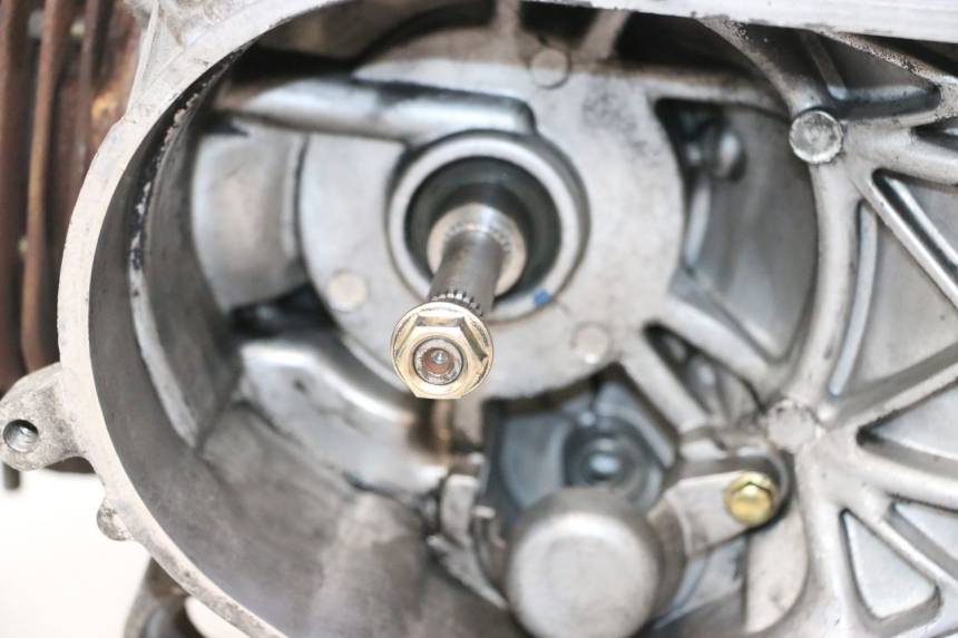 photo de MOTOR PEUGEOT STREETZONE NAKED 2T 50 (2014 - 2018) - Technische Nahaufnahme