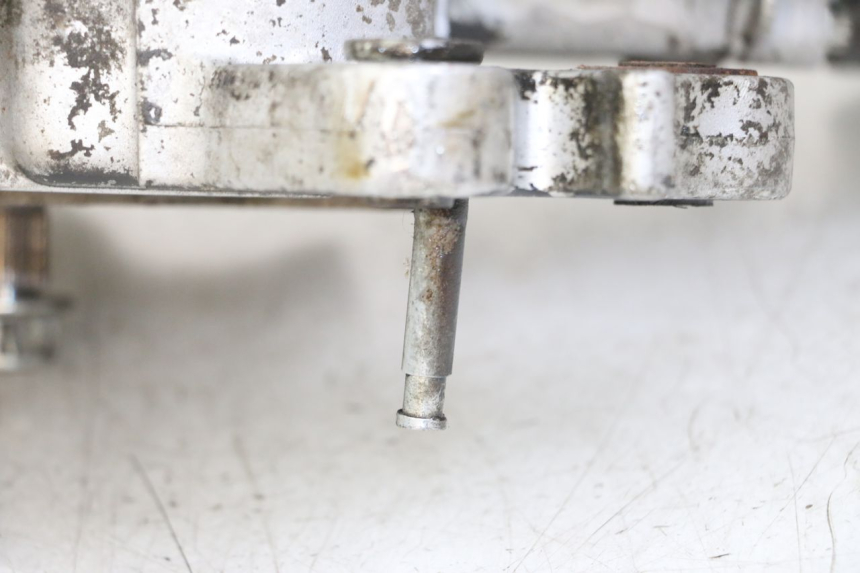 photo de MOTOR JM MOTORS SUNNY 50 (2017 - 2020) - Zoom auf Gebrauchszustand