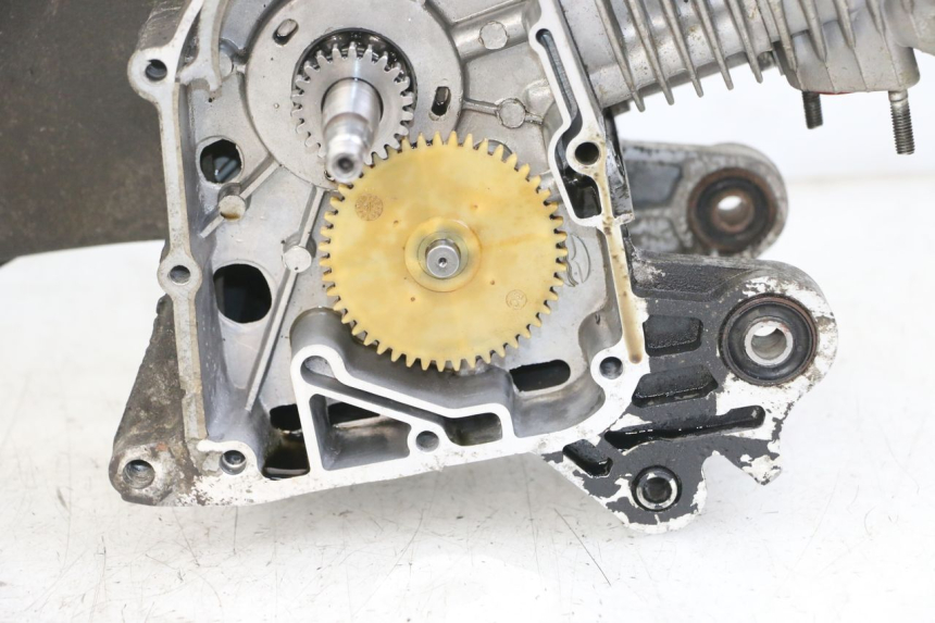 photo de MOTOR JM MOTORS SUNNY 50 (2017 - 2020) - Oberflächenzustand und Material