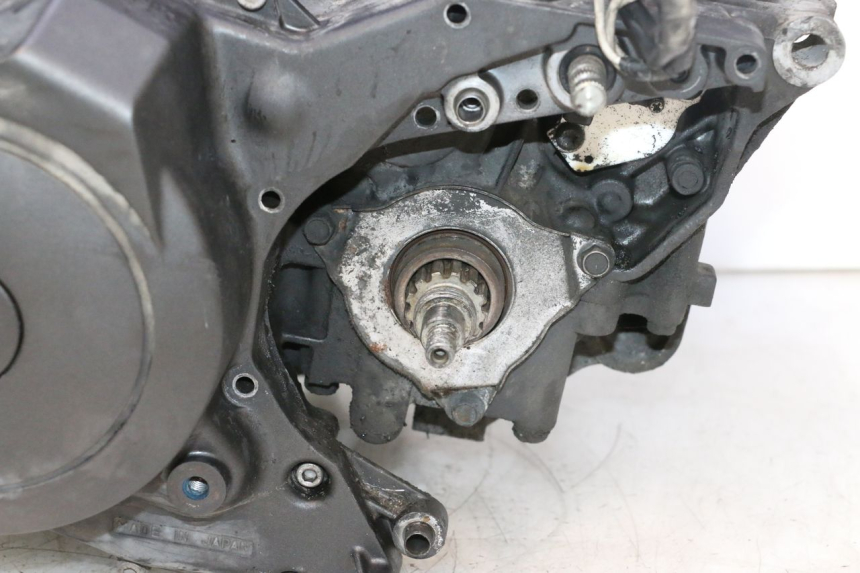photo de MOTOR YAMAHA TDM ABS 900 (2002 - 2014) - Profilansicht des Ersatzteils