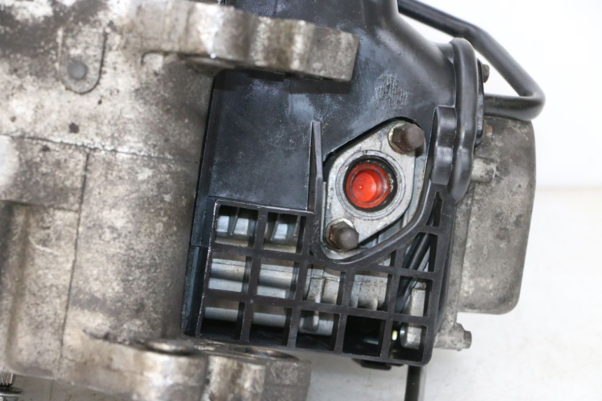 photo de MOTOR NECO TEMPO 4T 50 (2022 - 2026) - Gesamtansicht des Produkts