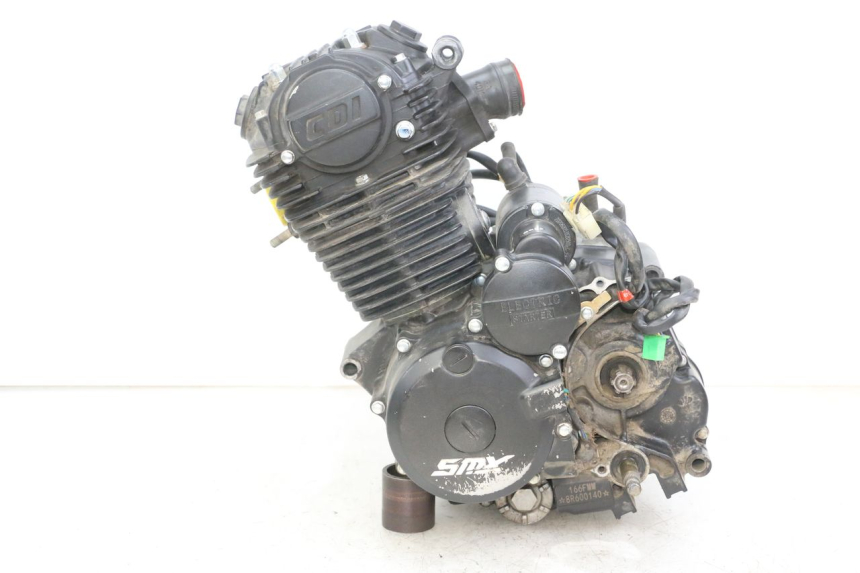 photo de MOTOR SMALL MX THUNDER 250 - Charakteristische Merkmale