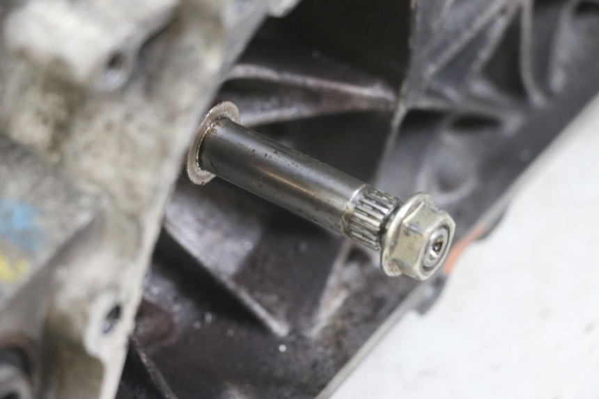 photo de MOTOR PEUGEOT TKR TREKKER FURIOUS 50 (2005 - 2014) - Profilansicht des Ersatzteils