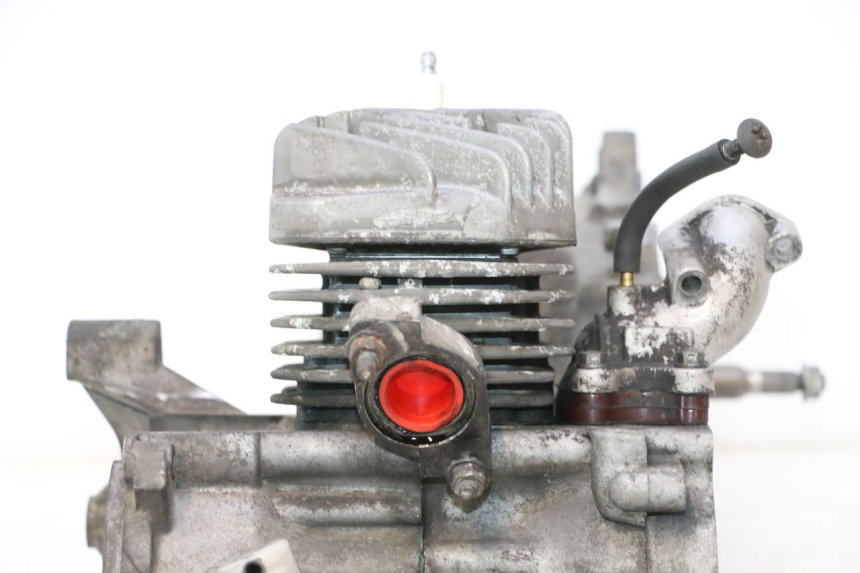 photo de MOTOR PEUGEOT TREKKER TKR 50 (2005 - 2014) - Fokus auf die Struktur