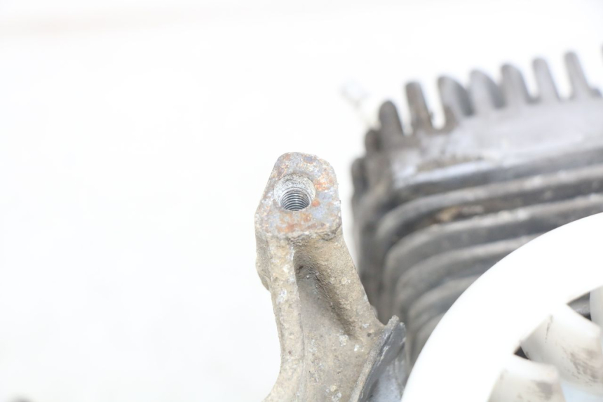 photo de MOTOR PEUGEOT TREKKER 50 (1998 - 2004) - Zoom auf Gebrauchszustand