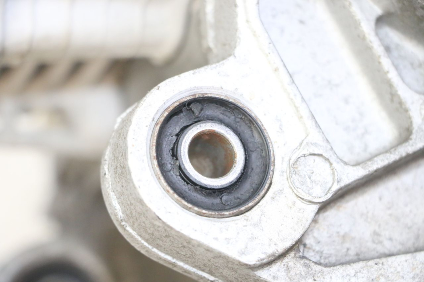 photo de MOTOR PEUGEOT TWEET 4T 50 (2014 - 2019) - Alternative Perspektive