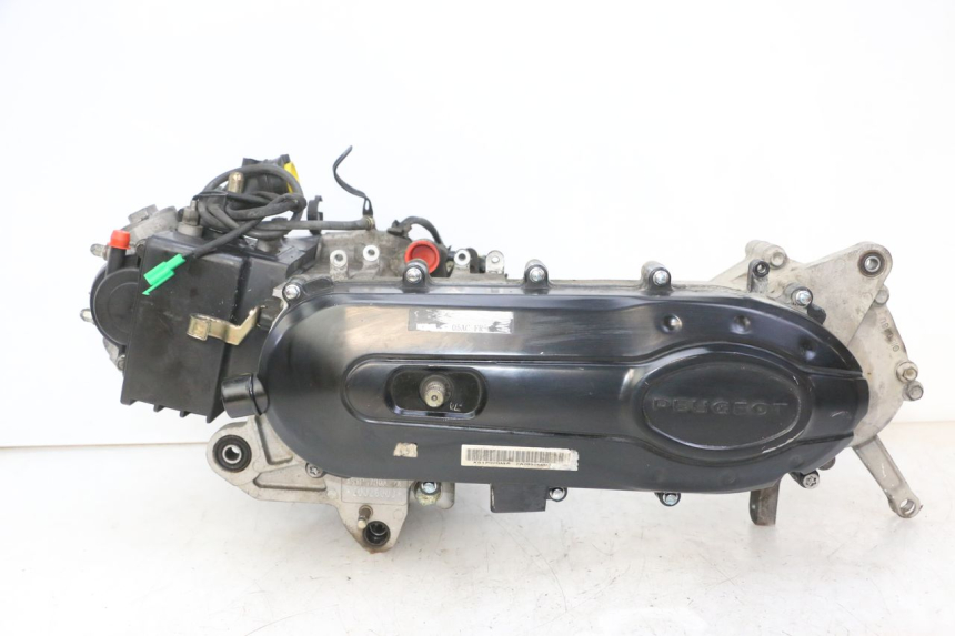 photo de MOTOR PEUGEOT TWEET 4T 50 (2018 - 2022) - Hauptansicht