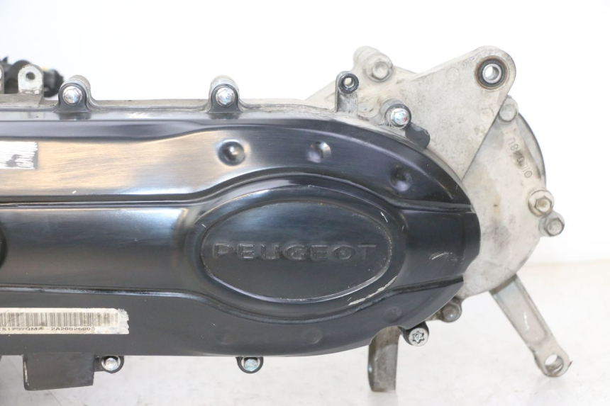 photo de MOTOR PEUGEOT TWEET 4T 50 (2018 - 2022) - Hauptansicht