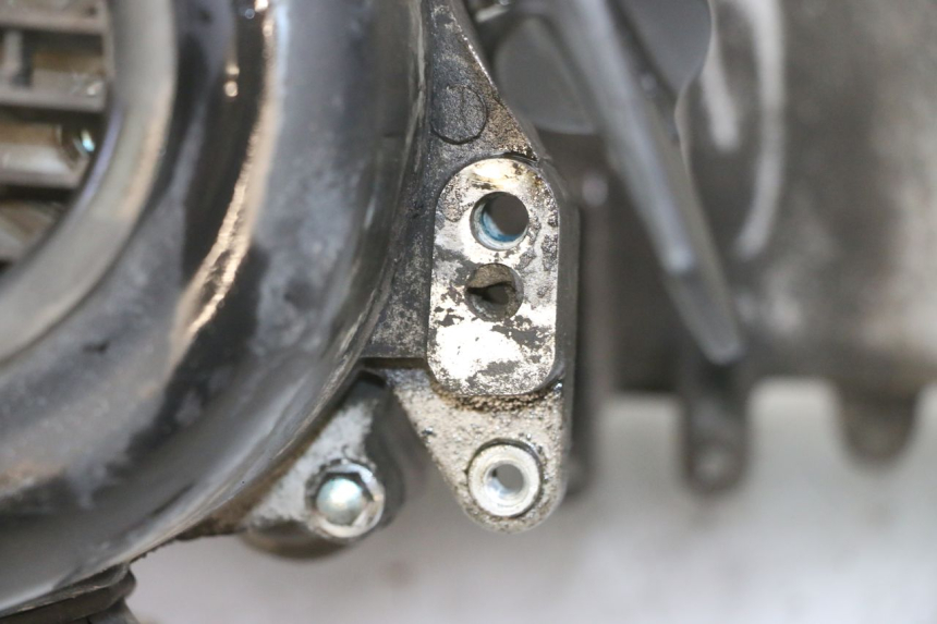 photo de MOTOR PEUGEOT TWEET 4T 50 (2018 - 2022) - Alternative Perspektive