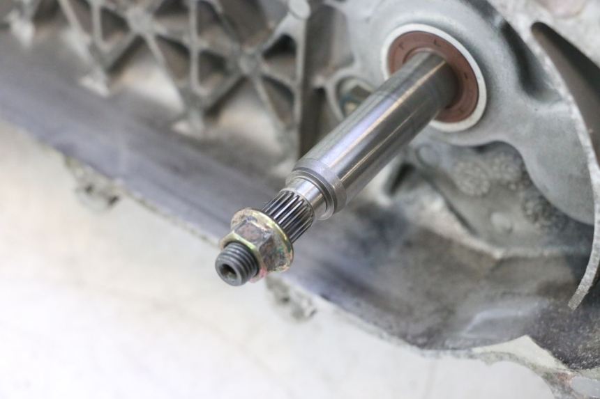 photo de MOTOR PEUGEOT TWEET 4T 50 (2018 - 2022) - Charakteristische Merkmale