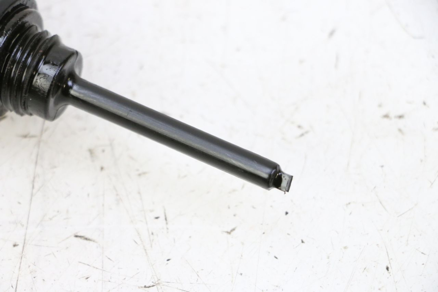 photo de MOTOR PEUGEOT TWEET PRO CARGO 50 (2018 - 2022) - Detailansicht des Bauteils