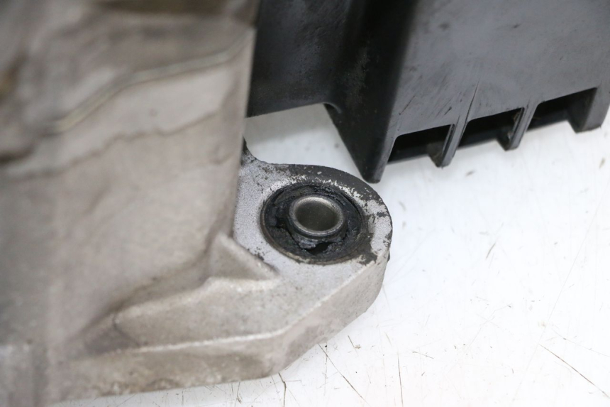 photo de MOTOR PEUGEOT TWEET PRO CARGO 50 (2018 - 2022) - Hochauflösende Nahaufnahme