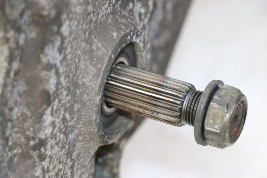 photo de MOTOR PEUGEOT TWEET PRO CARGO 50 (2018 - 2022) - Detailansicht des Bauteils