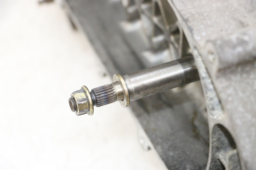 photo de MOTOR PEUGEOT TWEET PRO CARGO 50 (2018 - 2022) - Alternative Perspektive