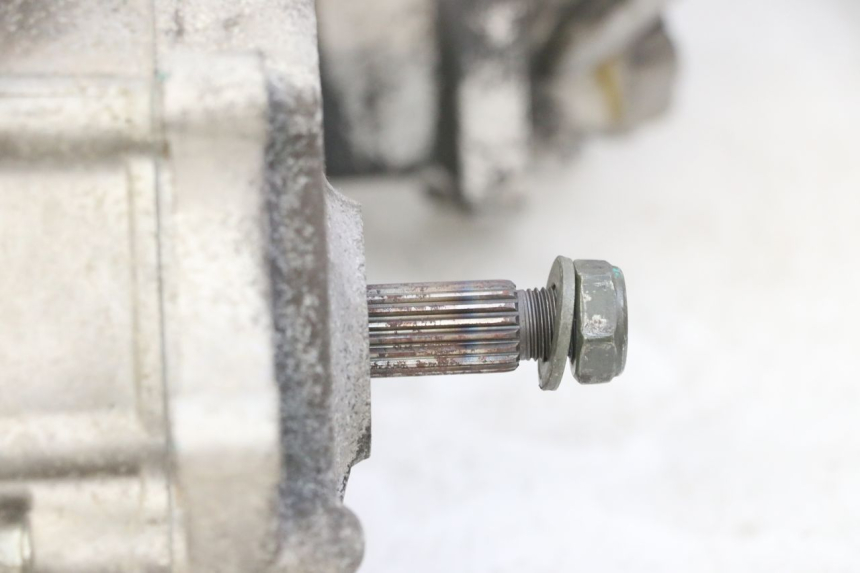 photo de MOTOR PEUGEOT TWEET PRO EFI 4T 50 (2021 - 2022) - Hochauflösende Nahaufnahme